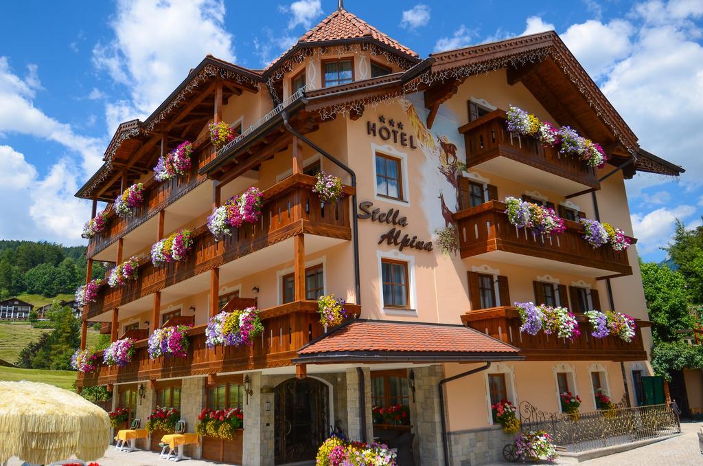 Hotel Stella Alpina Моэна Экстерьер фото